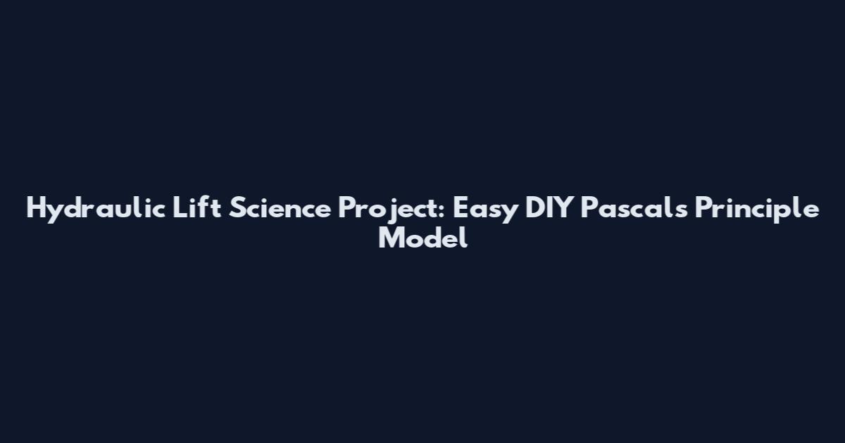 Hydraulic Lift Science Project: Easy DIY Pascal's Principle Model