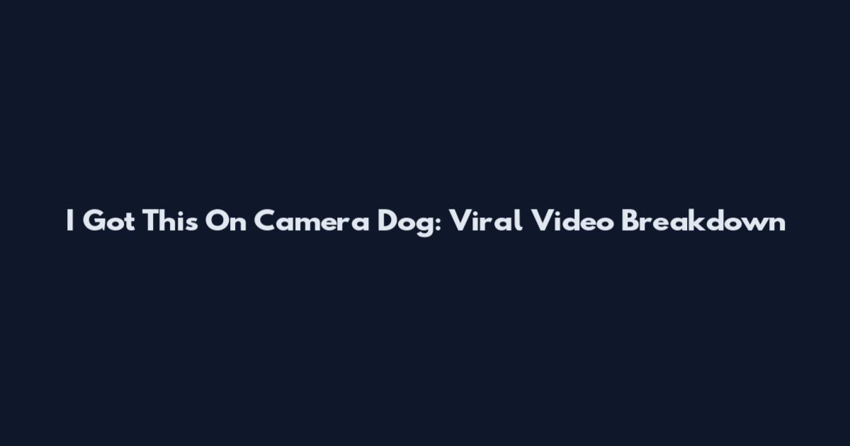 I Got This On Camera Dog: Viral Video Breakdown