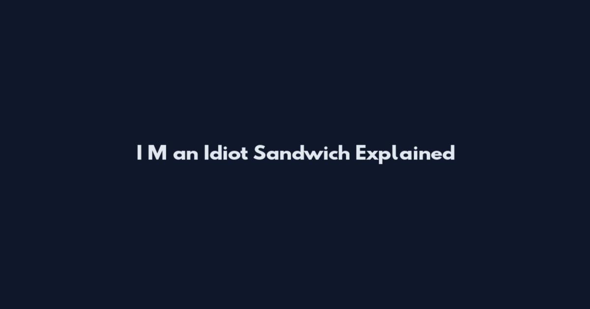 I M an Idiot Sandwich Explained