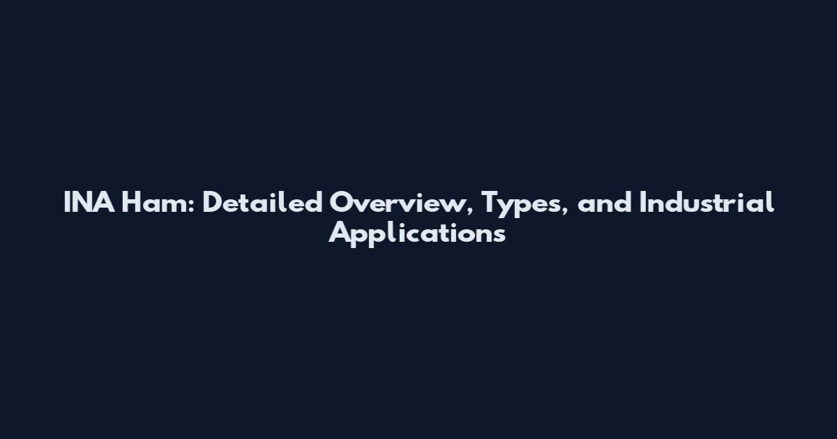 INA Ham: Detailed Overview, Types, and Industrial Applications