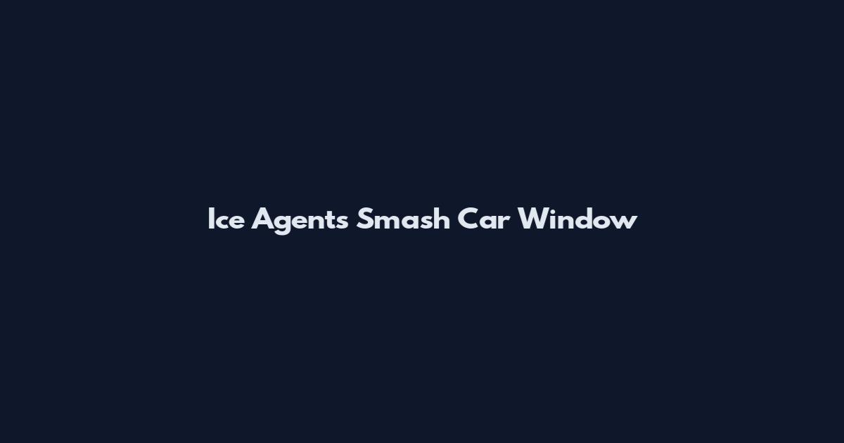 Ice Agents Smash Car Window