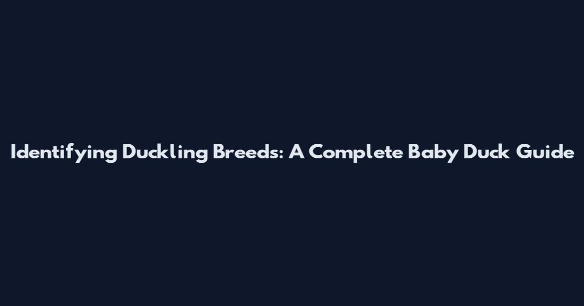 Identifying Duckling Breeds: A Complete Baby Duck Guide