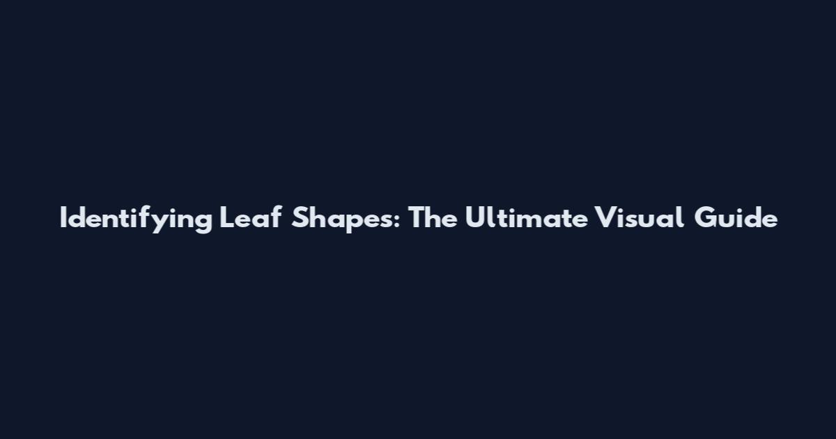 Identifying Leaf Shapes: The Ultimate Visual Guide