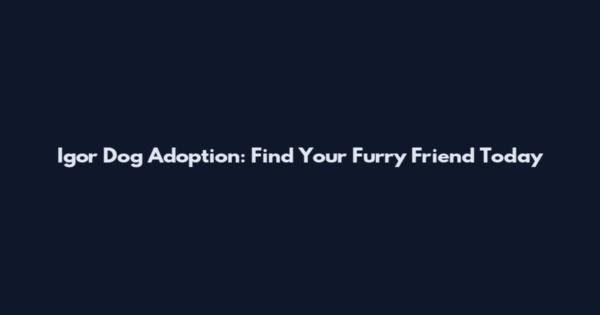 Igor Dog Adoption: Find Your Furry Friend Today