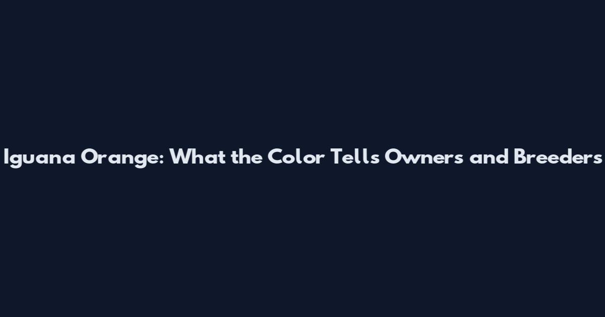 Iguana Orange: What the Color Tells Owners and Breeders