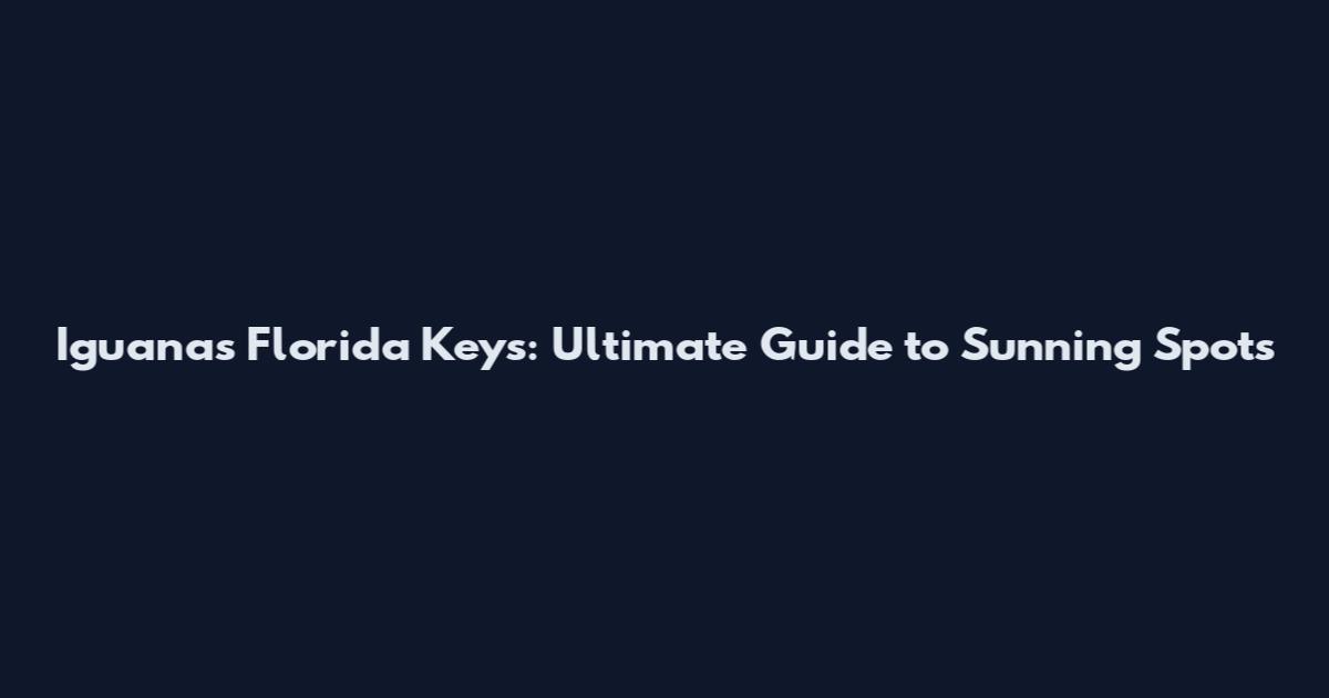 Iguanas Florida Keys: Ultimate Guide to Sunning Spots