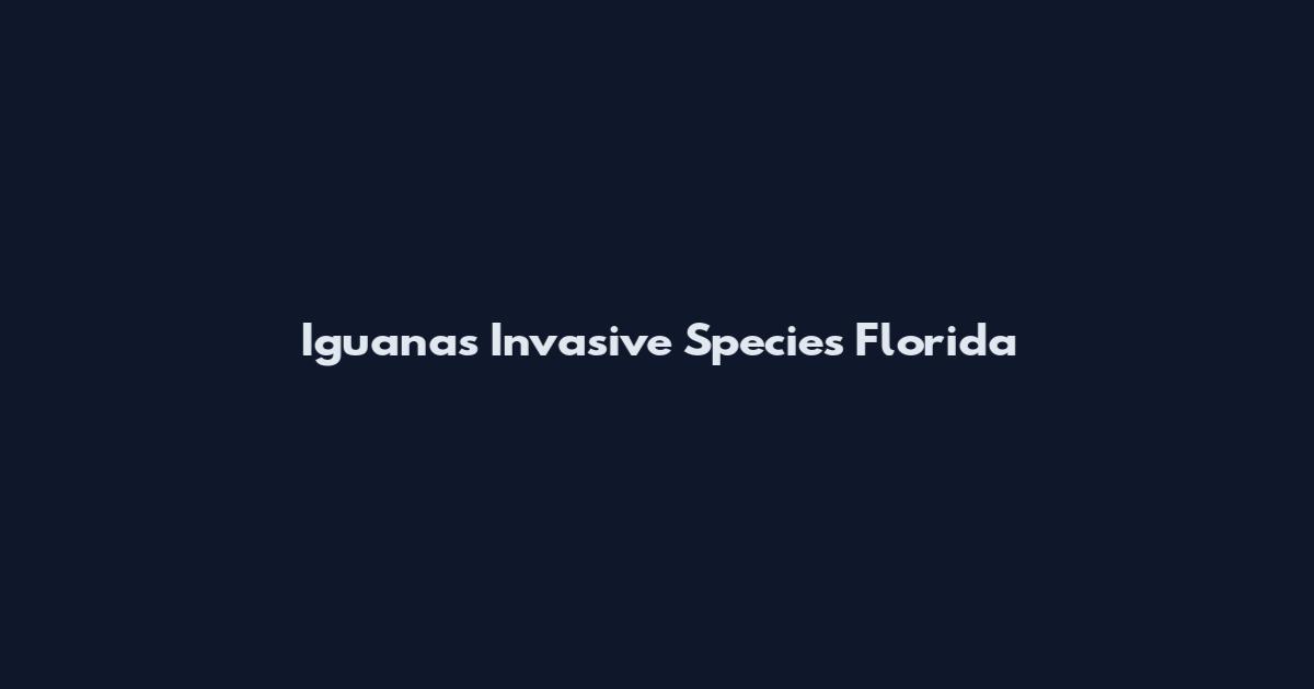 Iguanas Invasive Species Florida