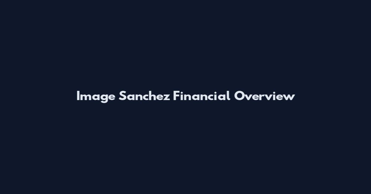 Image Sanchez Financial Overview