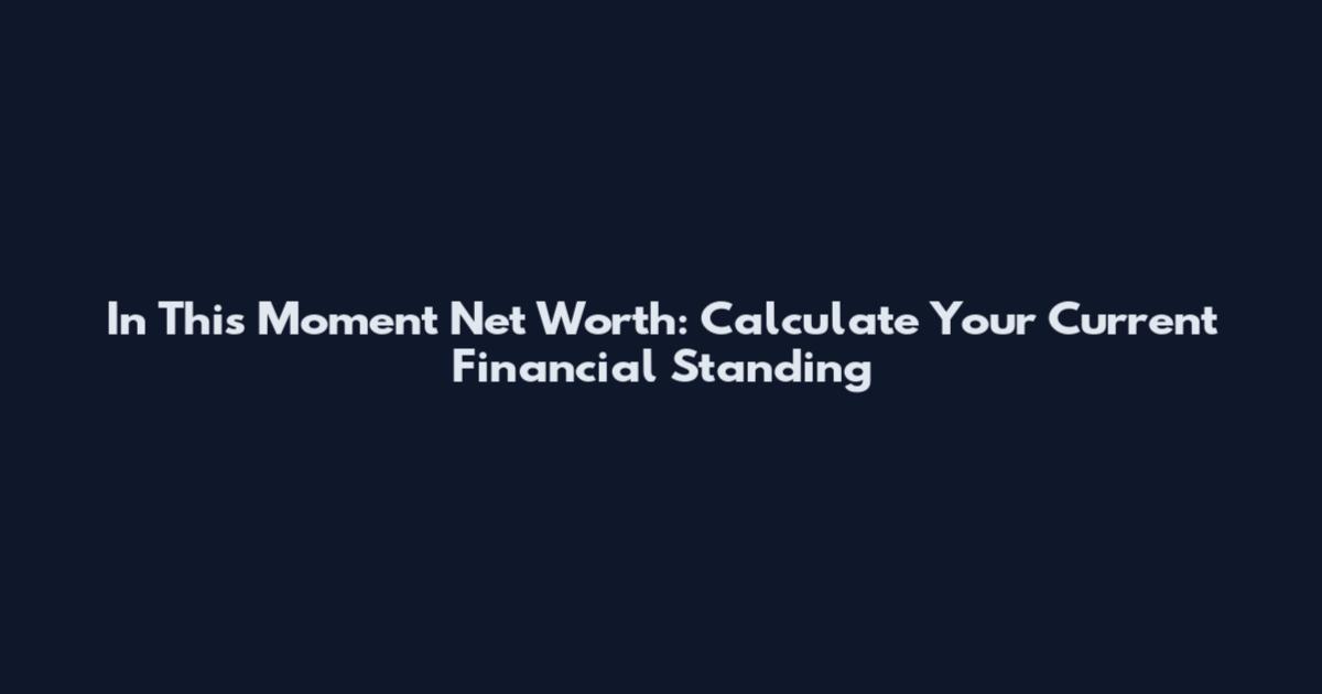 In This Moment Net Worth: Calculate Your Current Financial Standing
