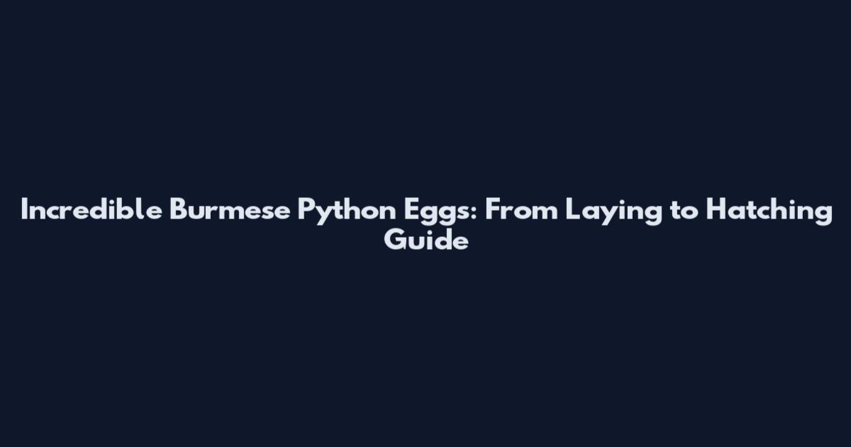 Incredible Burmese Python Eggs: From Laying to Hatching Guide