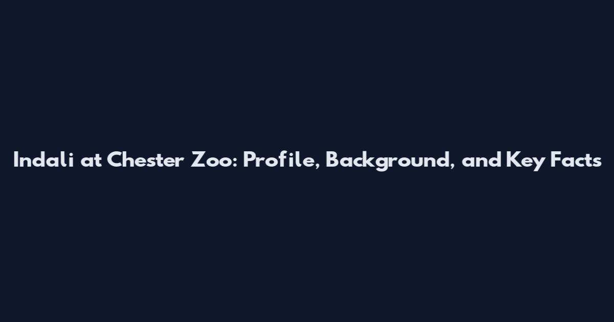 Indali at Chester Zoo: Profile, Background, and Key Facts
