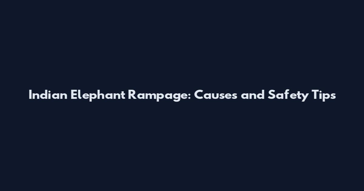 Indian Elephant Rampage: Causes and Safety Tips