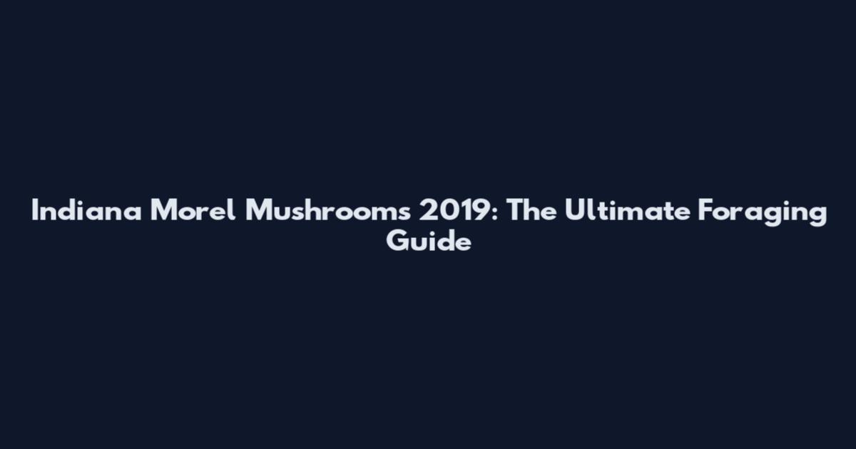 Indiana Morel Mushrooms 2019: The Ultimate Foraging Guide