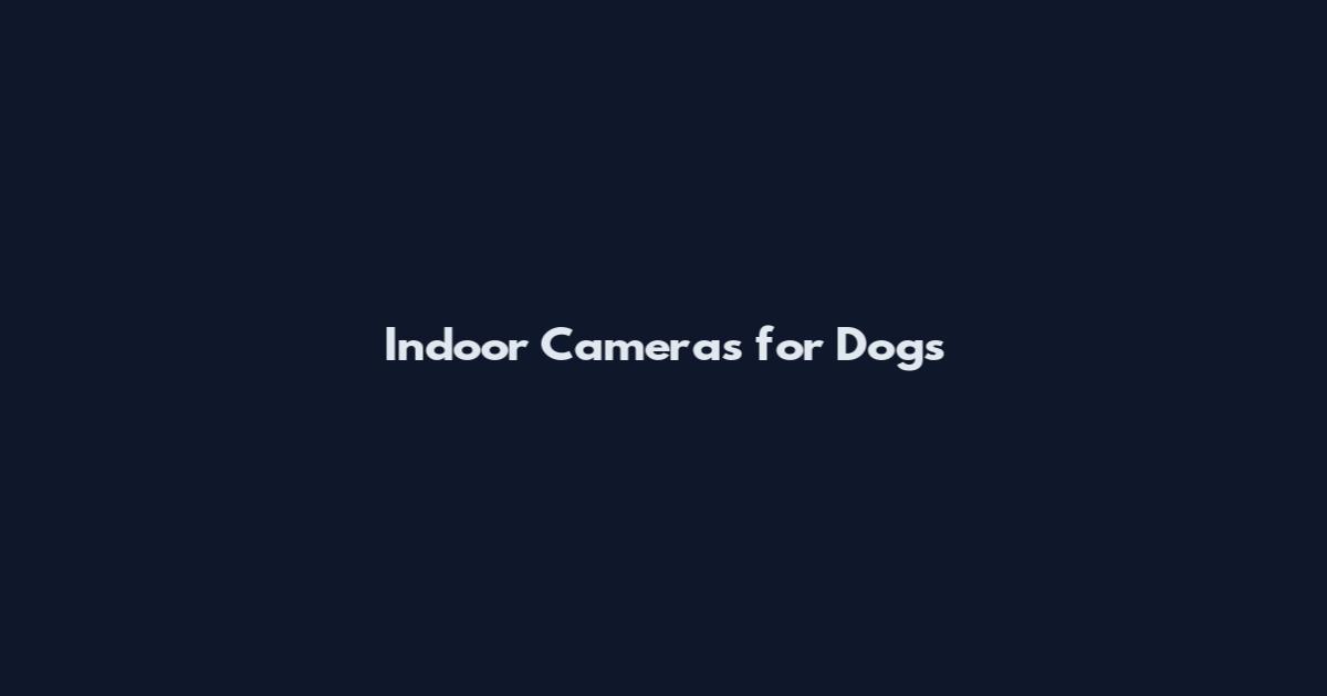 Indoor Cameras for Dogs