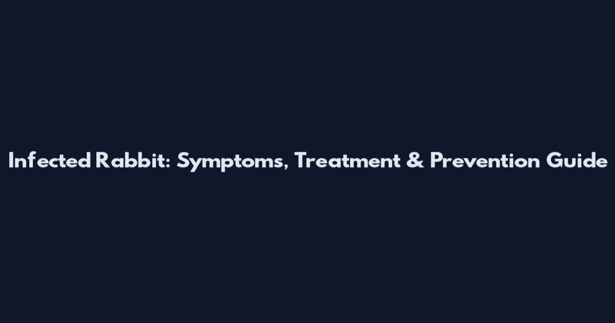 Infected Rabbit: Symptoms, Treatment & Prevention Guide
