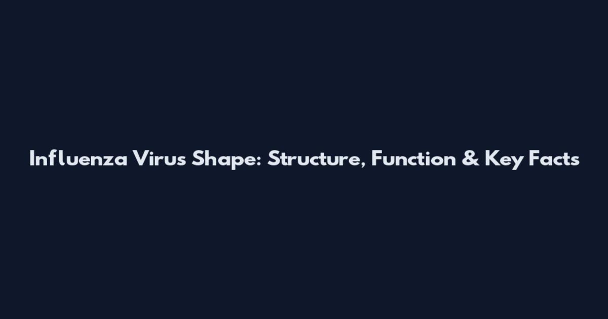 Influenza Virus Shape: Structure, Function & Key Facts