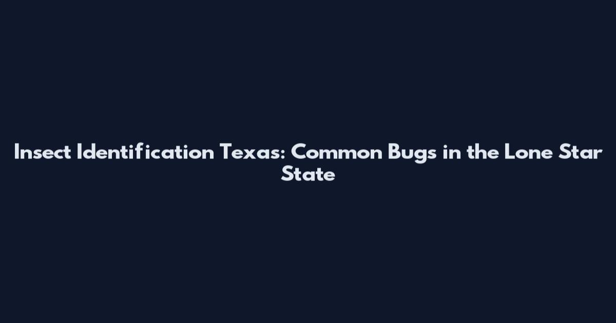 Insect Identification Texas: Common Bugs in the Lone Star State