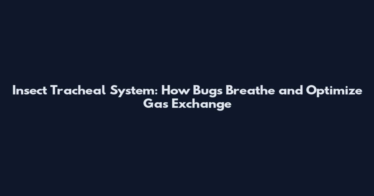 Insect Tracheal System: How Bugs Breathe and Optimize Gas Exchange