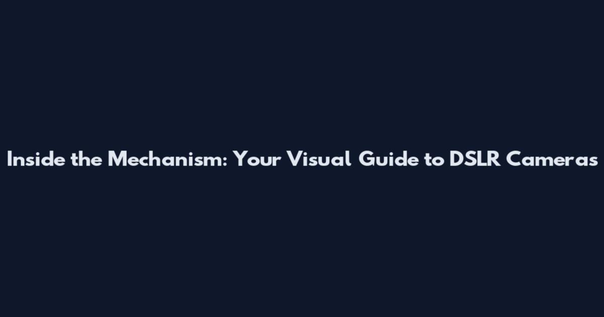 Inside the Mechanism: Your Visual Guide to DSLR Cameras