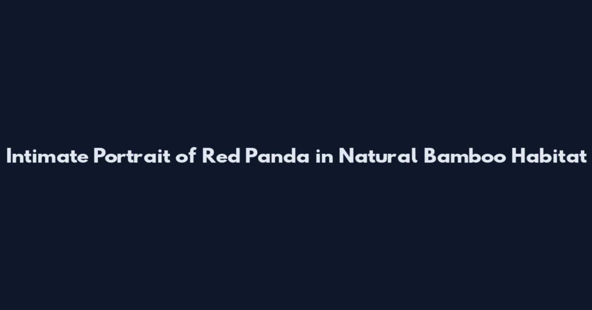 Intimate Portrait of Red Panda in Natural Bamboo Habitat