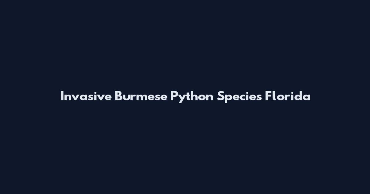 Invasive Burmese Python Species Florida