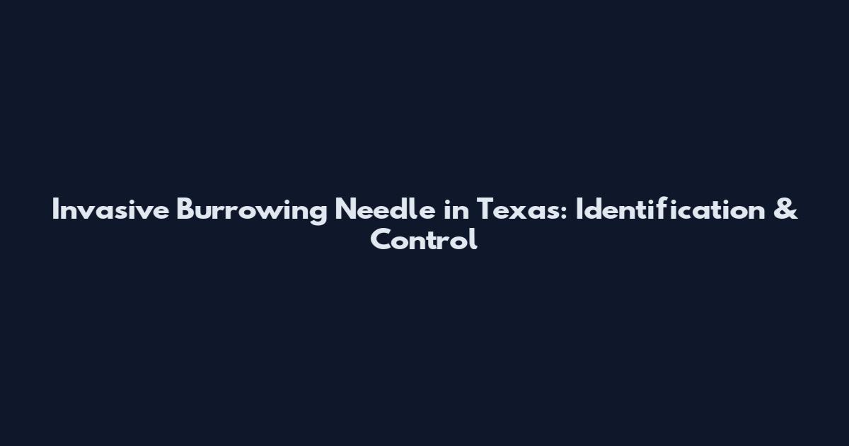 Invasive Burrowing Needle in Texas: Identification & Control