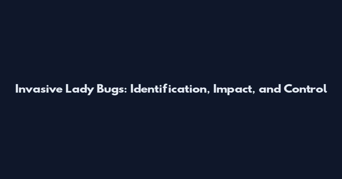 Invasive Lady Bugs: Identification, Impact, and Control