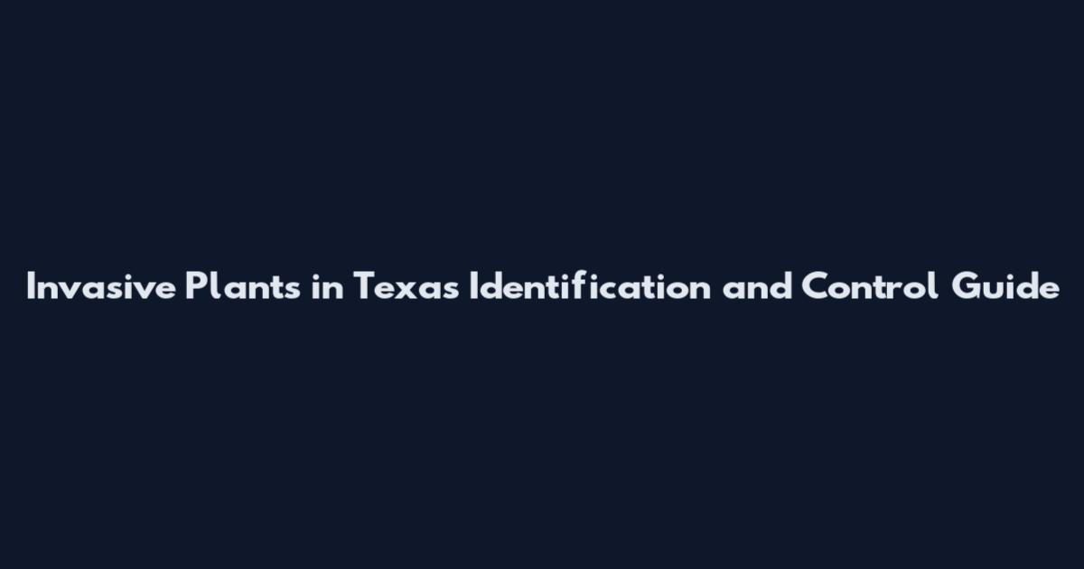 Invasive Plants in Texas Identification and Control Guide