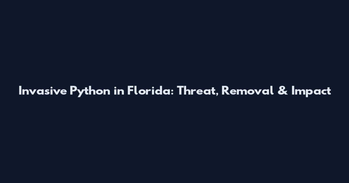 Invasive Python in Florida: Threat, Removal & Impact