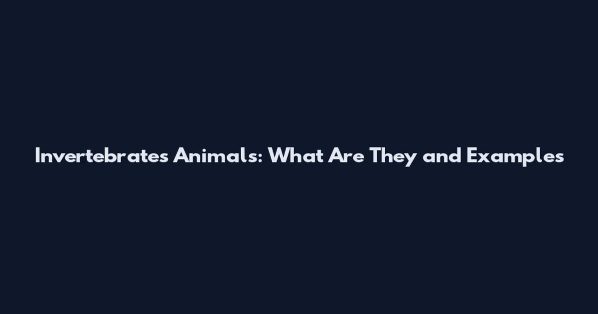 Invertebrates Animals: What Are They and Examples