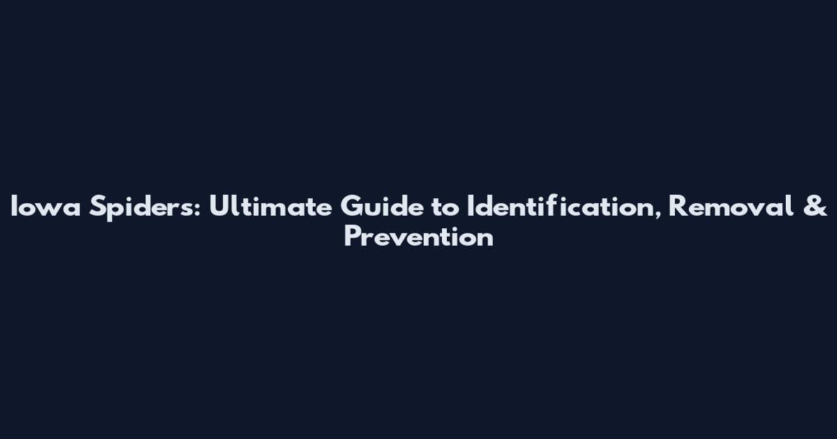 Iowa Spiders: Ultimate Guide to Identification, Removal & Prevention