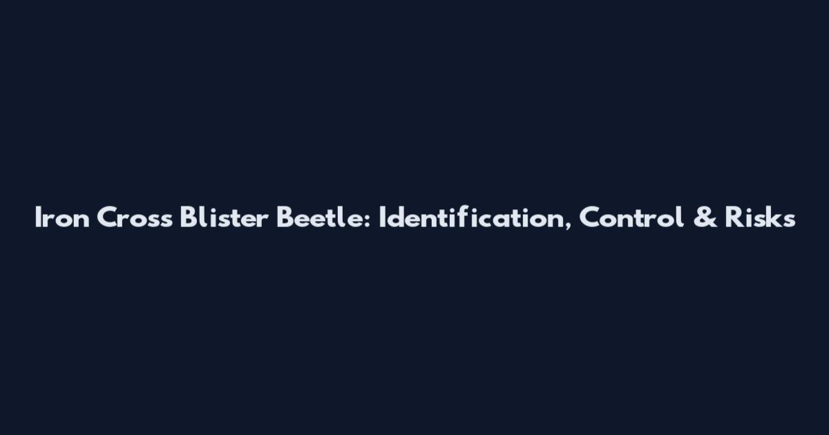 Iron Cross Blister Beetle: Identification, Control & Risks
