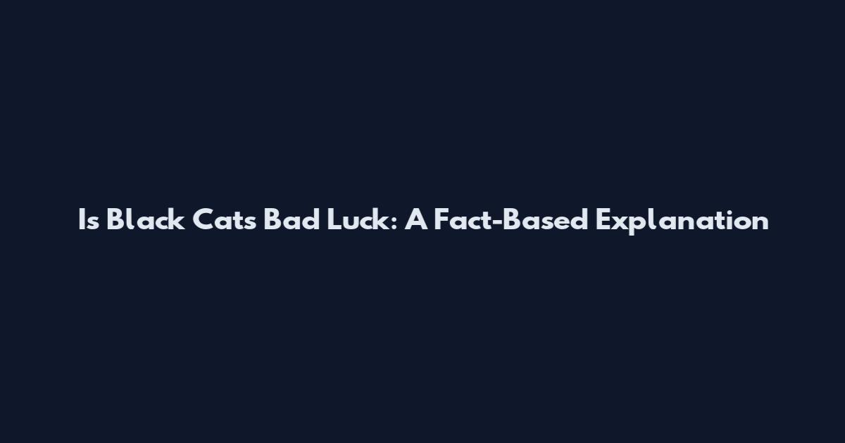 Is Black Cats Bad Luck: A Fact-Based Explanation