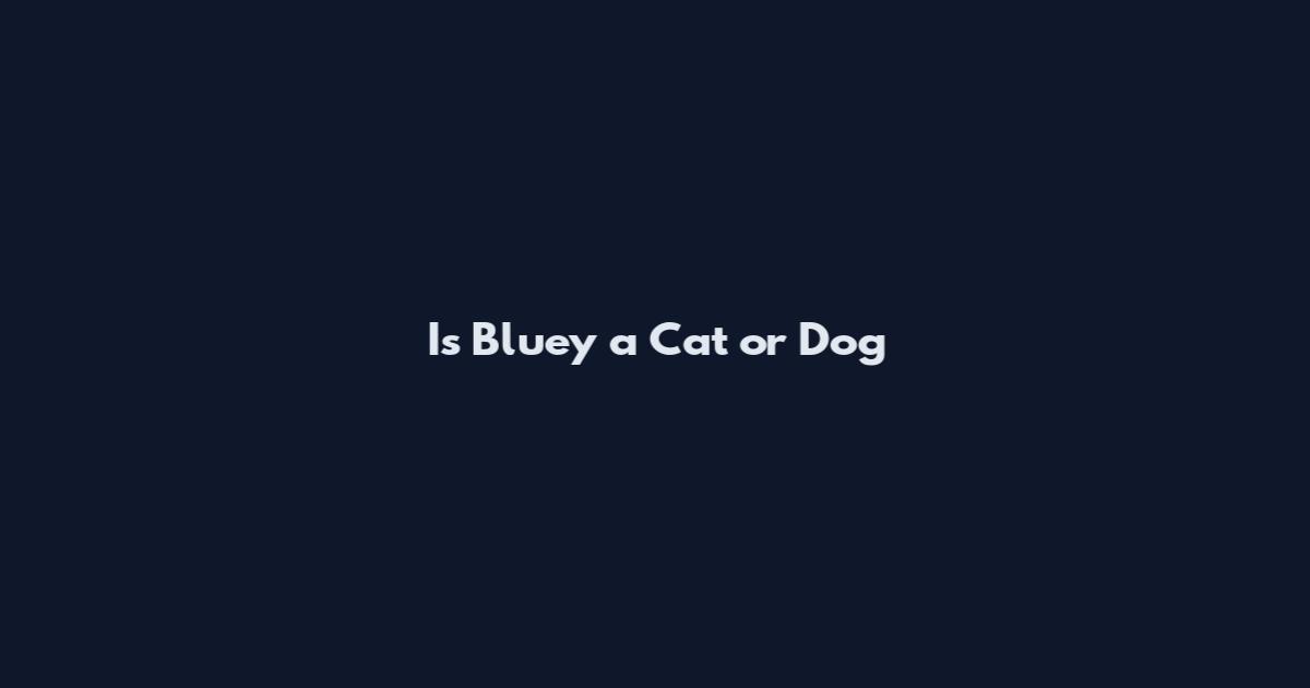 Is Bluey a Cat or Dog
