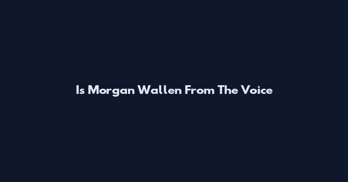 Is Morgan Wallen From The Voice