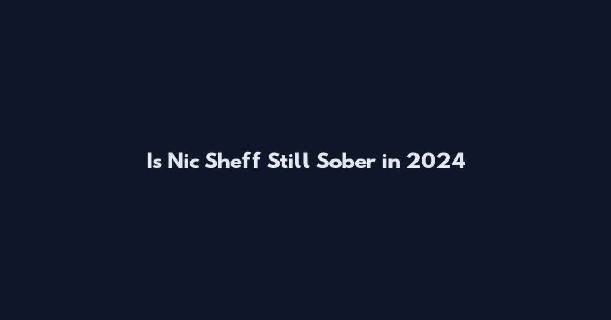 Is Nic Sheff Still Sober in 2024