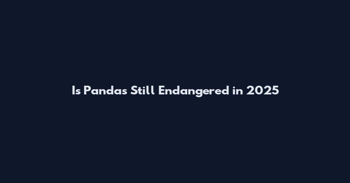 Is Pandas Still Endangered in 2025