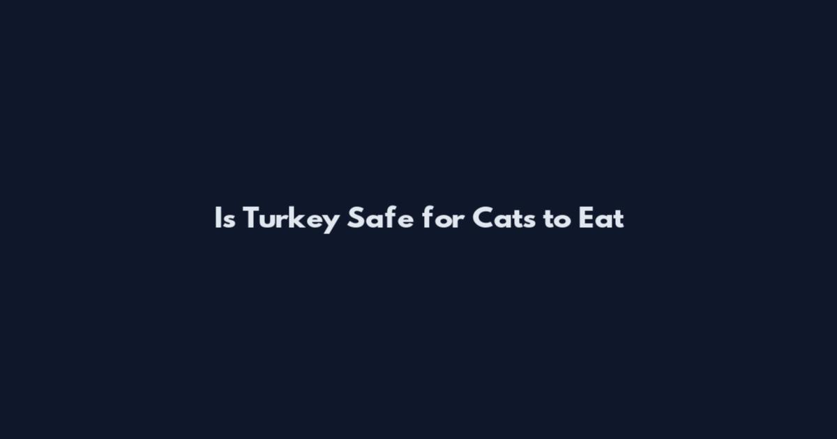 Is Turkey Safe for Cats to Eat