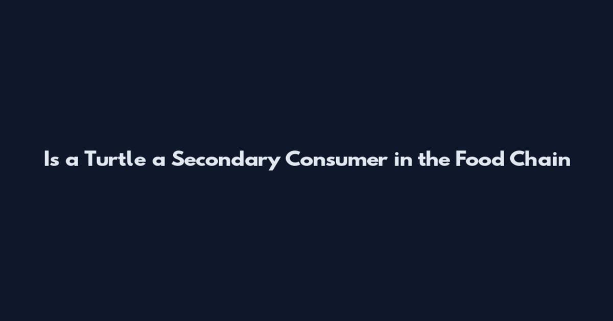 Is a Turtle a Secondary Consumer in the Food Chain