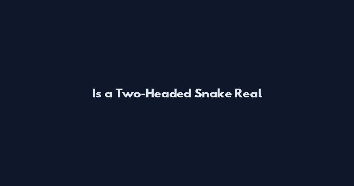 Is a Two-Headed Snake Real