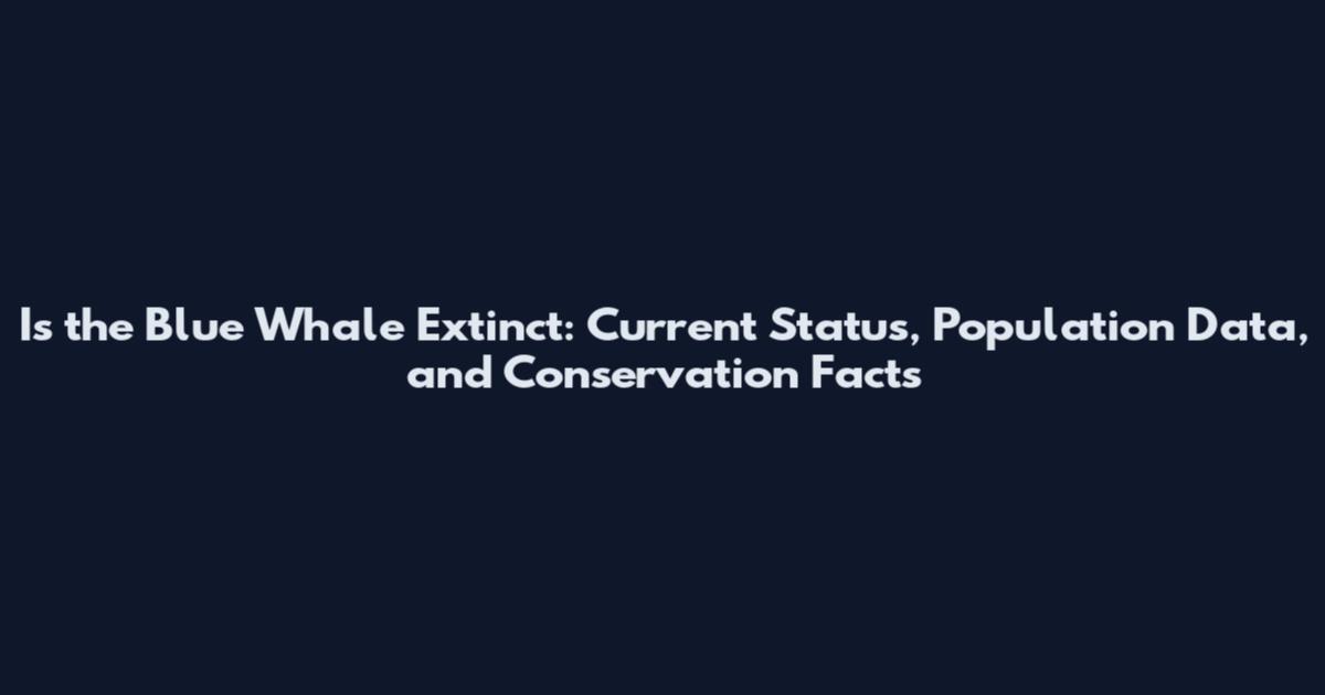 Is the Blue Whale Extinct: Current Status, Population Data, and Conservation Facts