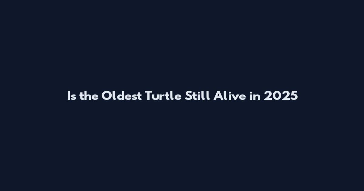 Is the Oldest Turtle Still Alive in 2025