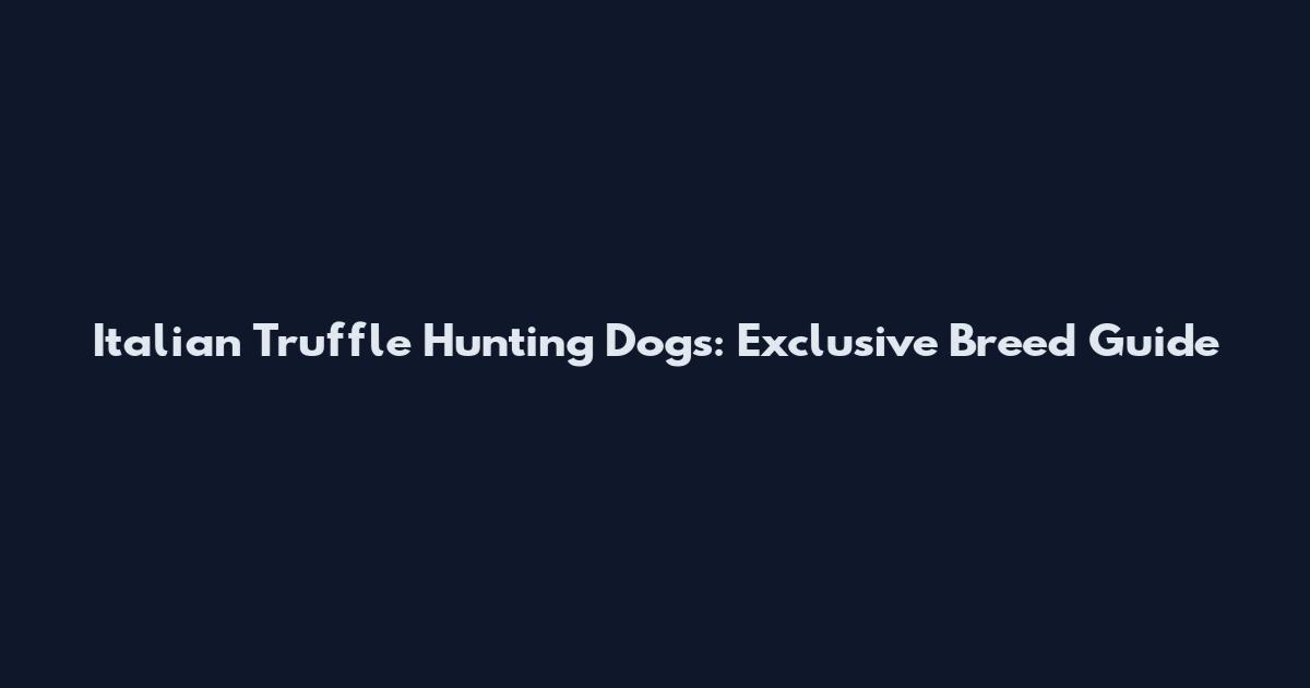 Italian Truffle Hunting Dogs: Exclusive Breed Guide