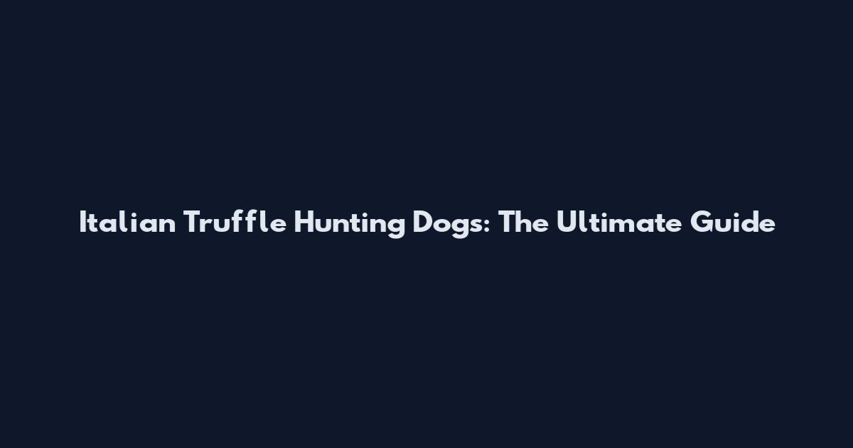 Italian Truffle Hunting Dogs: The Ultimate Guide