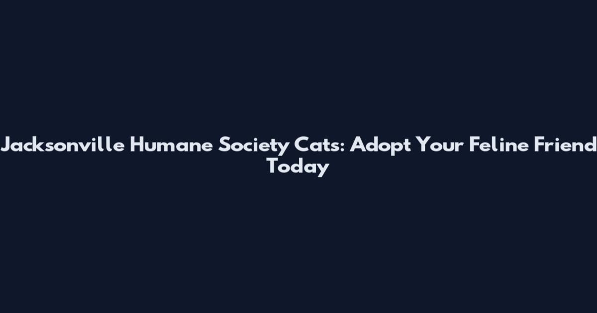 Jacksonville Humane Society Cats: Adopt Your Feline Friend Today