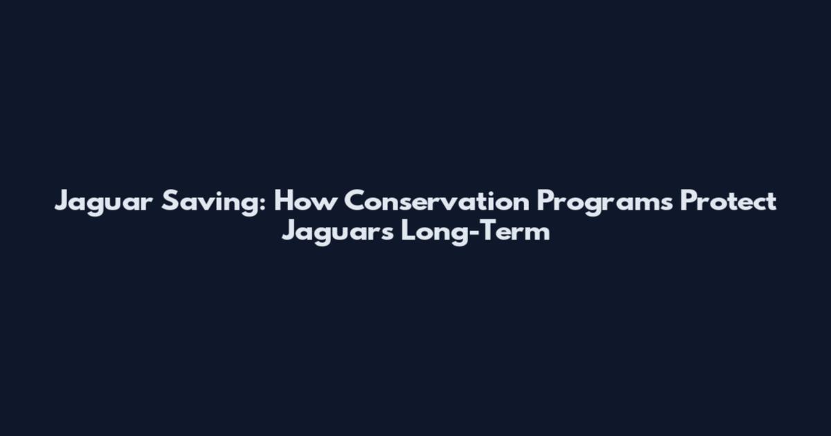 Jaguar Saving: How Conservation Programs Protect Jaguars Long-Term