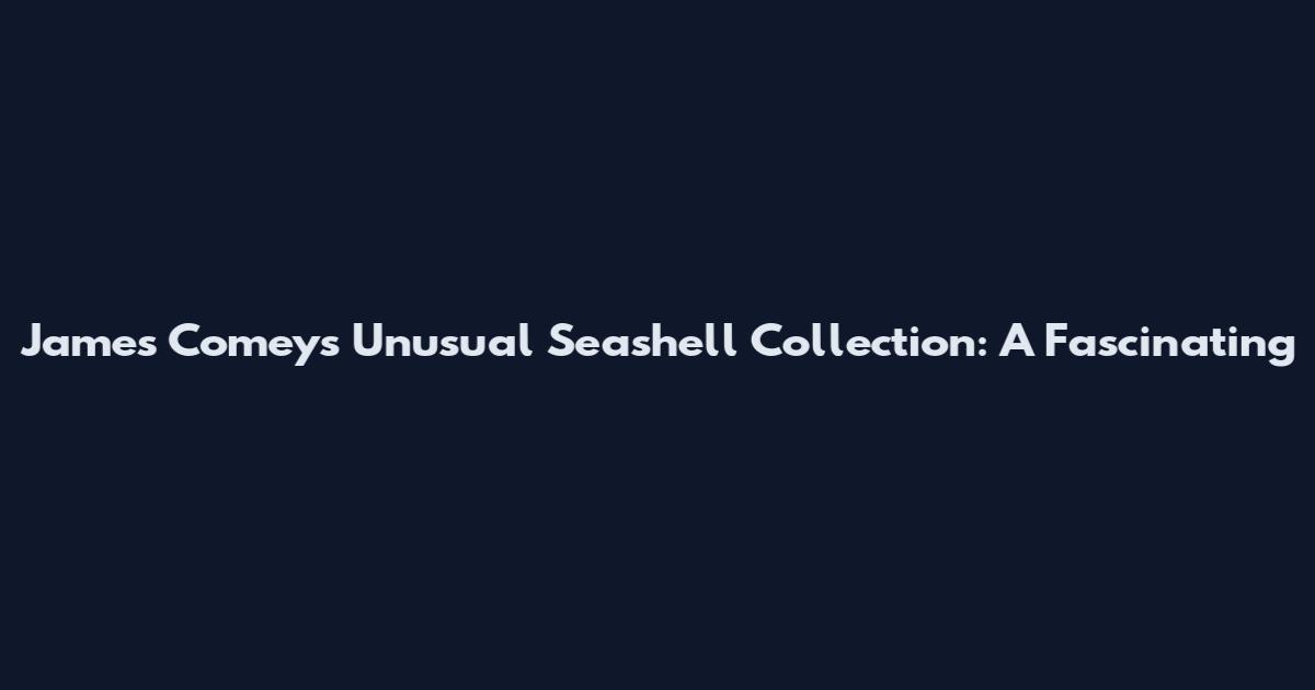 James Comey's Unusual Seashell Collection: A Fascinating