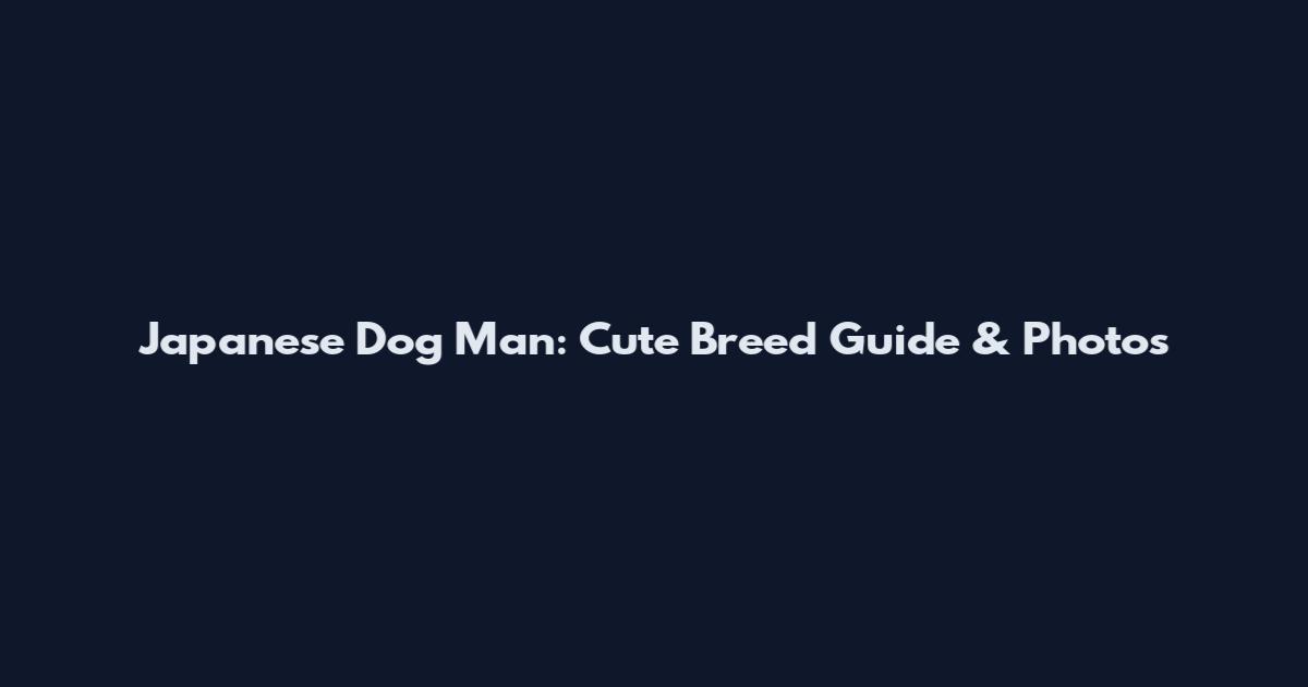 Japanese Dog Man: Cute Breed Guide & Photos
