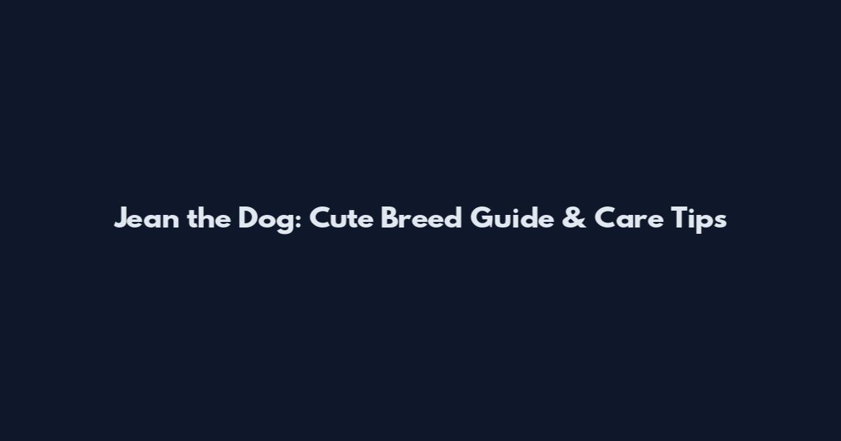Jean the Dog: Cute Breed Guide & Care Tips