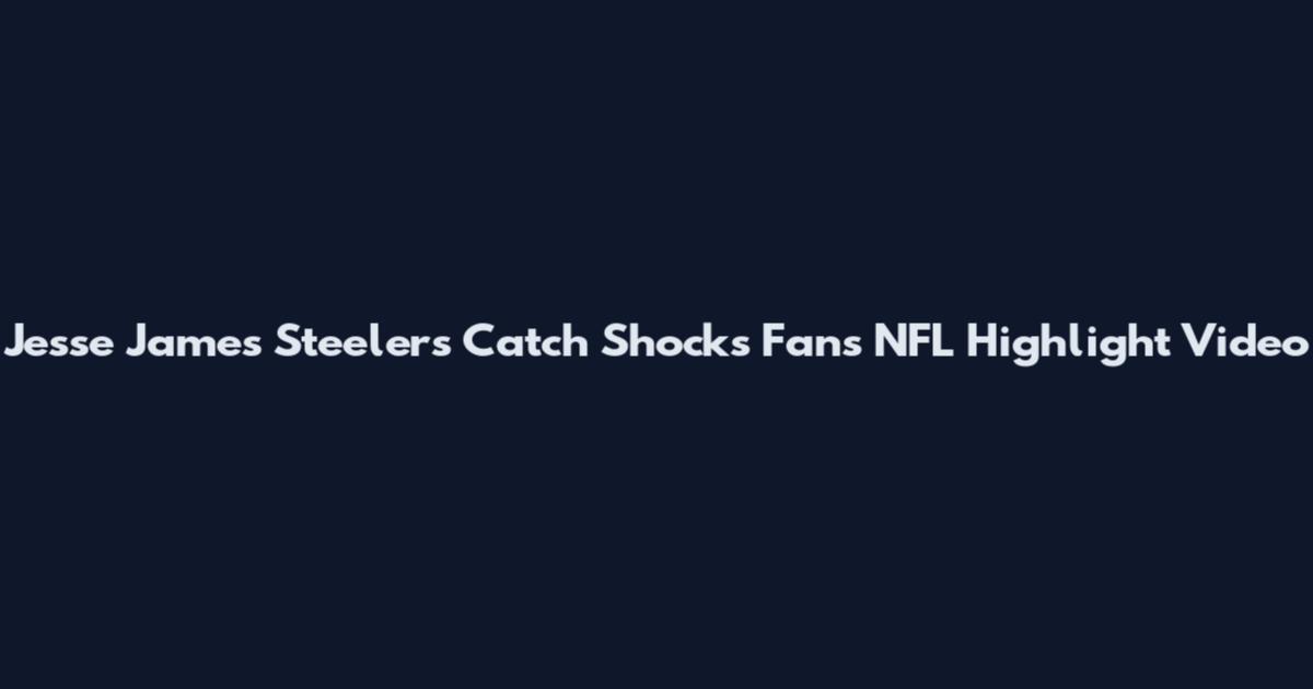 Jesse James Steelers Catch Shocks Fans NFL Highlight Video